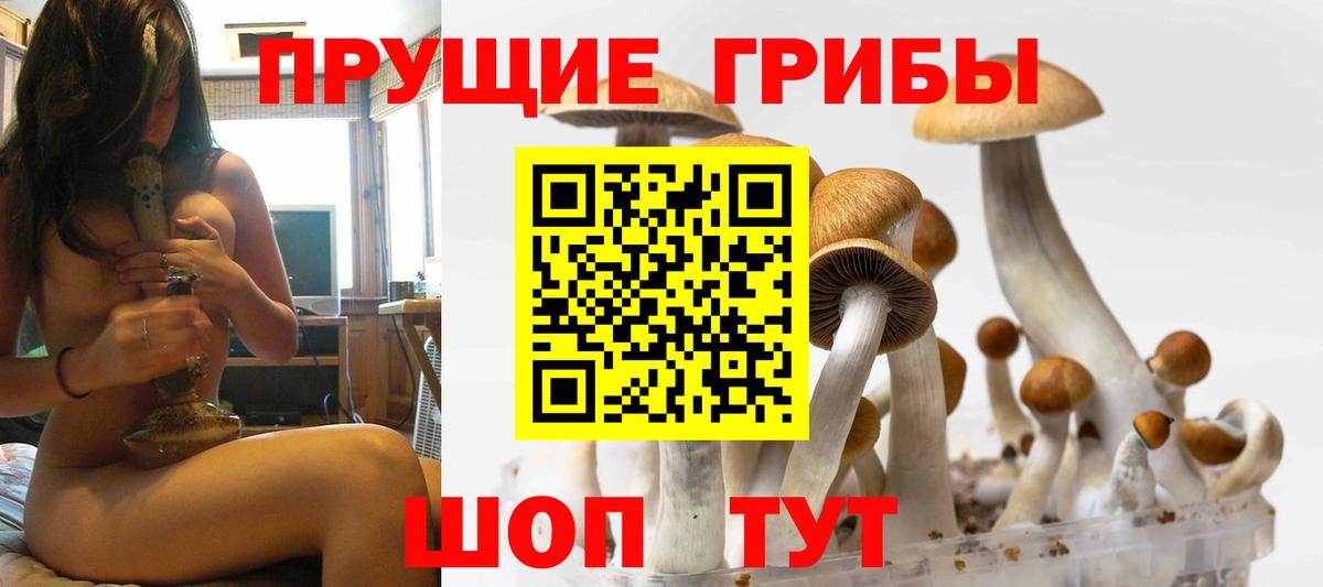 Псилоцибиновые грибы мухоморы  Галлюциногенные грибы MAGIC MUSHROOMS  Владимир  Вход с VPN 